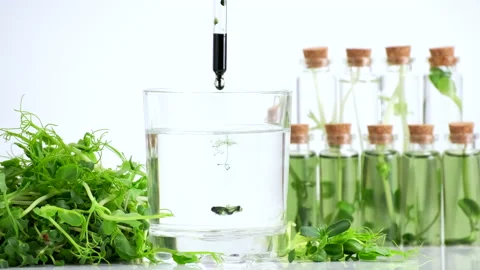 Test tubes with micro greens and reagent Chlorophyll extract poured in water Video stock 169720977