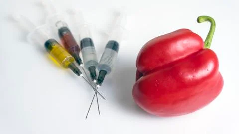 Test tubes next to a red pepper. Food laboratory. Close up on a white table. 스톡 사진