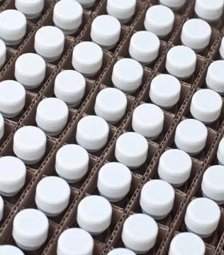 Test tubes. Stock Photos