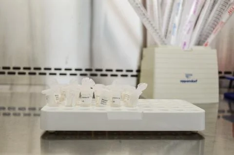 Test tubes Foto stock