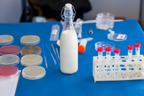 Test tubes Foto stock