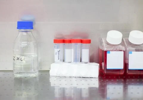 Test Tubes Foto stock