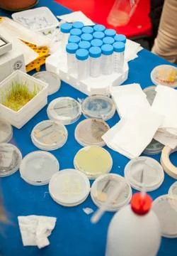 Test Tubes Foto stock