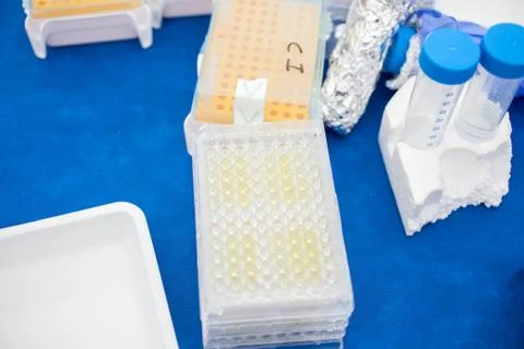 Test Tubes Stock Photos