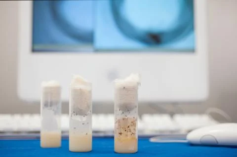 Test Tubes Foto stock