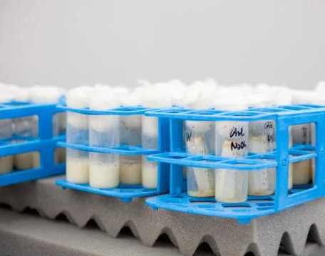 Test Tubes Foto stock