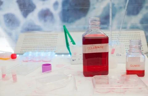 Test Tubes Stock Photos