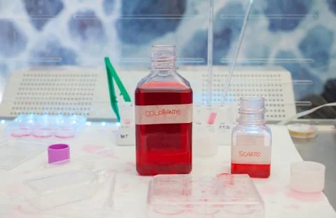 Test Tubes Foto stock