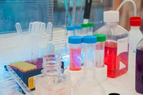 Test Tubes Stock Photos