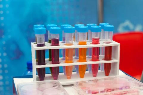Test Tubes Foto stock