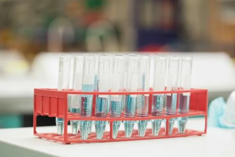 Test tubes in rack containing blue liquid Stock Photos