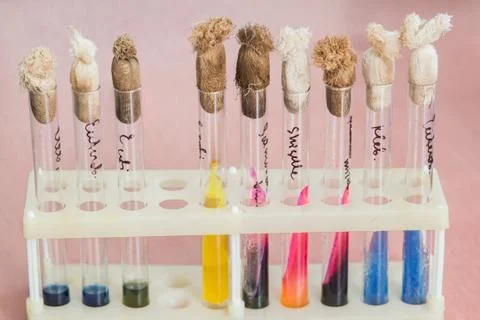 Test tubes on a rack Stock-Fotos