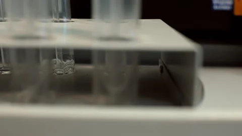 Test tubes with solution stand in a rack Stock Footage 92199548