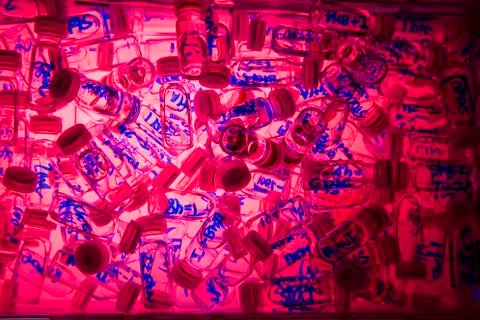 Test vials Stock Photos