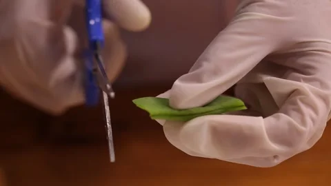 Tester experimenter tube sampling (6) Stock Footage 202235495