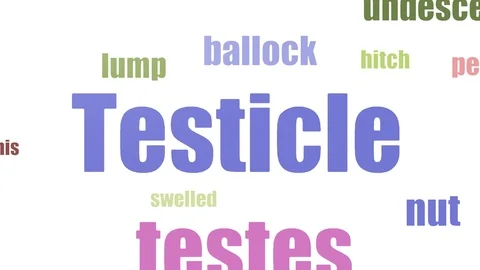 Testicle Word Cloud Animated Isolated Video stock 103098448
