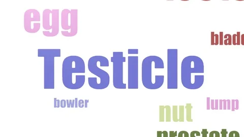 Testicle Word Cloud Animated Isolated Video stock 103662647