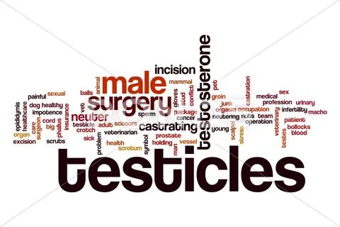 Testicles Word Cloud Concept