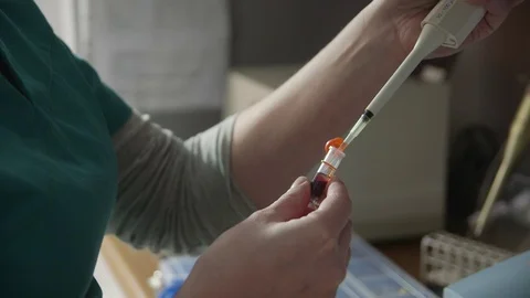 Testing blood samples at veterinary clinic Stock-Footage 72274293