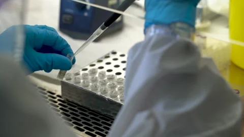 Testing on coronavirus ( covid19 ) Stock Footage 158515846