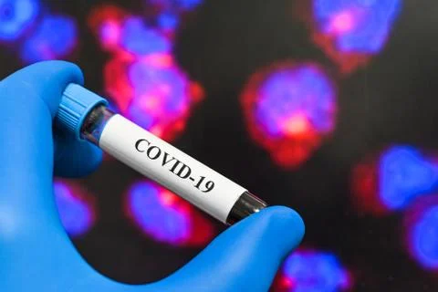 Testing on COVID-19. Stock Photos