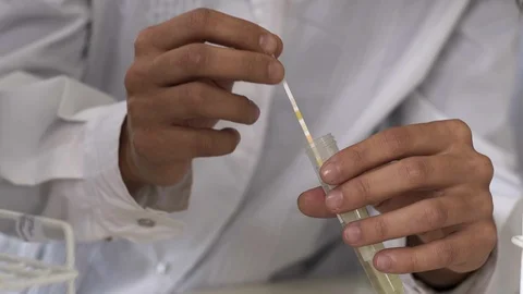 Testing an experimental drug in the laboratory Video stock 126602509