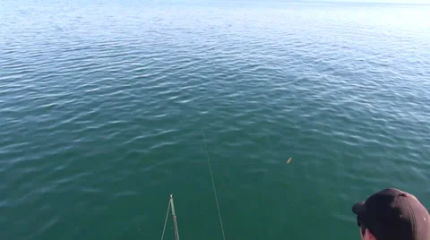 Testing a fishing line Stock Footage 37166512