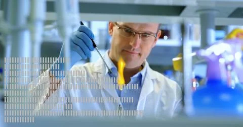 Testing flame reaction, scientist in lab coat holding loop over Bunsen burner at Stock Photos