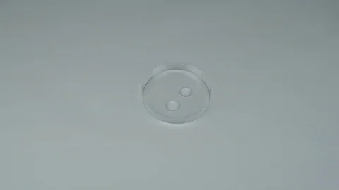 Testing liquid PH in laboratory Stock Footage 119524256
