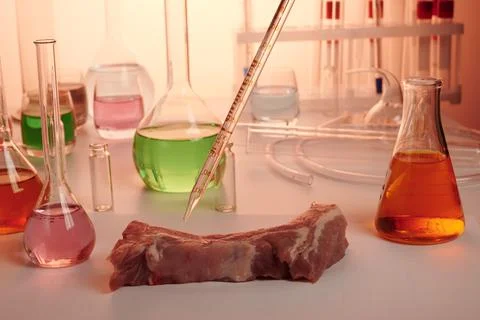 Testing of Meat with Glass Pipe in a Lab Stock Photos