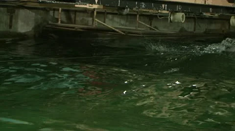 Testing the model of a ship in the pool. Video stock 11293842
