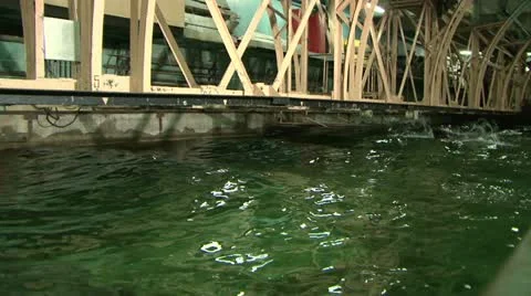 Testing the model of a ship in the pool. Video stock 11293850
