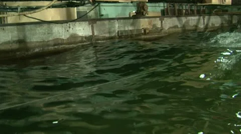 Testing the model of a ship in the pool. Video stock 11293977