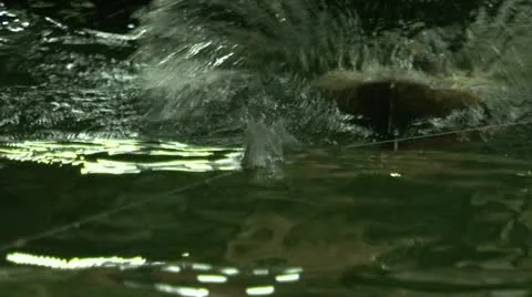 Testing the model of a ship in the pool. Video stock 11293982