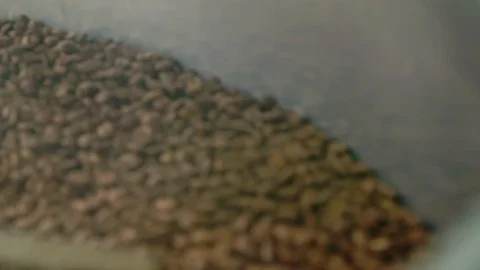 Testing Quality of roasted coffee beans during roasting process 動画素材 122404271