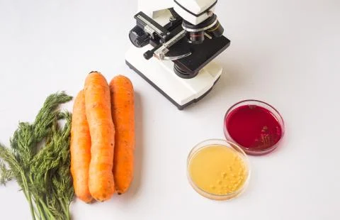 Testing raw vegetables for E.coli Escherichia and Staphylococcus Stock Photos