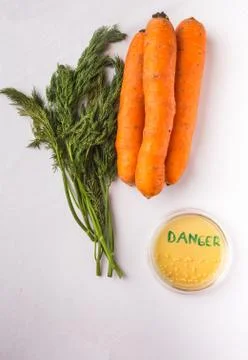 Testing raw vegetables for E.coli Escherichia Foto stock