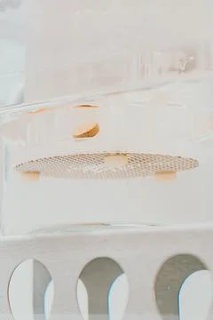 Testing tablet dissolution in the laboratory, laboratory analysis of tablets Stock Photos