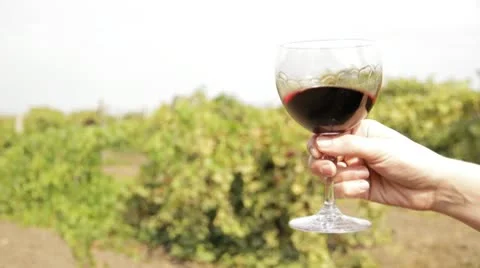 Testing wine on background of the grape field Stock Footage 9842496