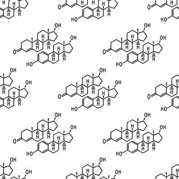 Testosterone and estradiol Stock Illustration