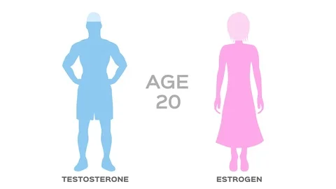 Testosterone and estrogen hormone level / age / graphic animation Stock Footage 97009472