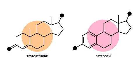 Testosterone and estrogen Stock Illustration