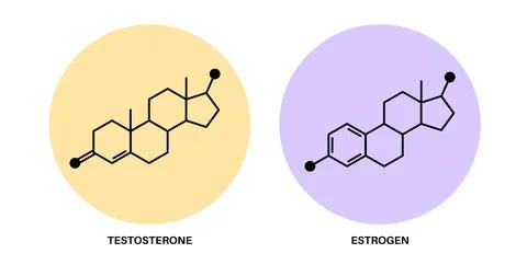 Testosterone and estrogen Stock Illustration