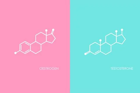 Testosterone and Oestrogen molecula structure. Blue and pink line icon Stock Illustration
