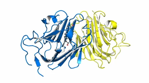 Testosterone-binding globulin Stock Footage 52462394