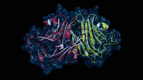 Testosterone-binding globulin, rotating cartoon model Stock Footage 42226301