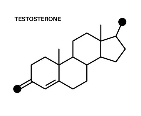 Testosterone chemical formula Stock Illustration
