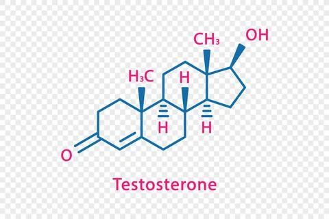 Testosterone chemical formula. Testosterone structural chemical formula isolated Stock Illustration