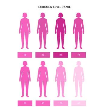Testosterone estrogen level Stock Illustration