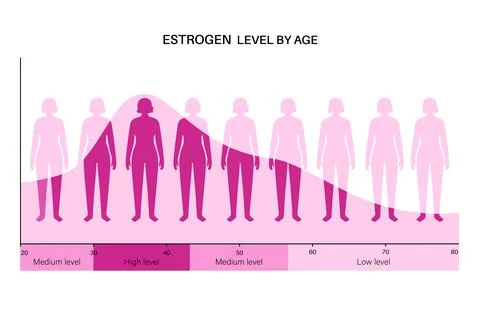 Testosterone estrogen level Stock Illustration